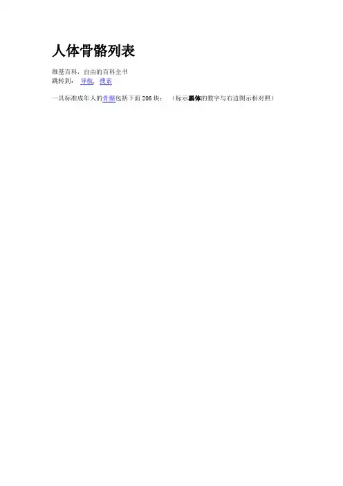 人体骨骼结构图