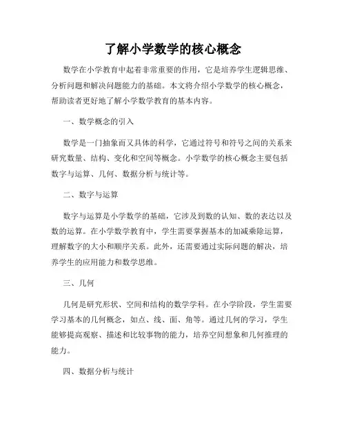 了解小学数学的核心概念
