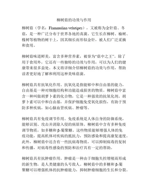 柳树菇的功效与作用