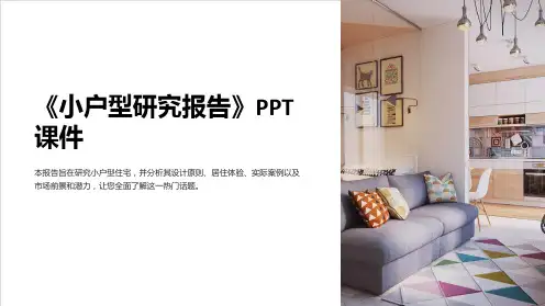 《小户型研究报告》课件