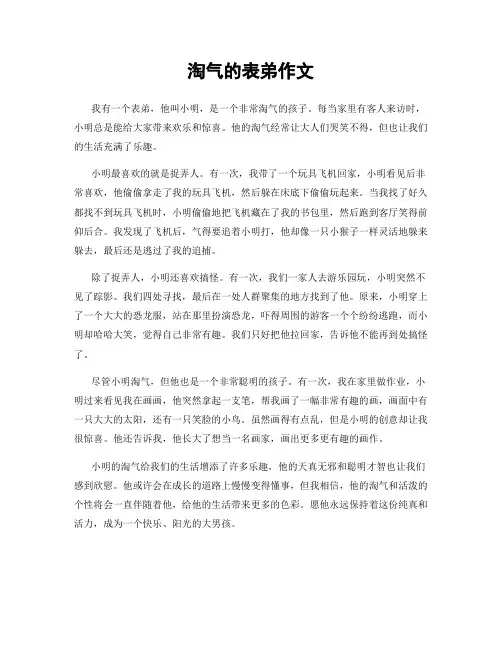 淘气的表弟作文
