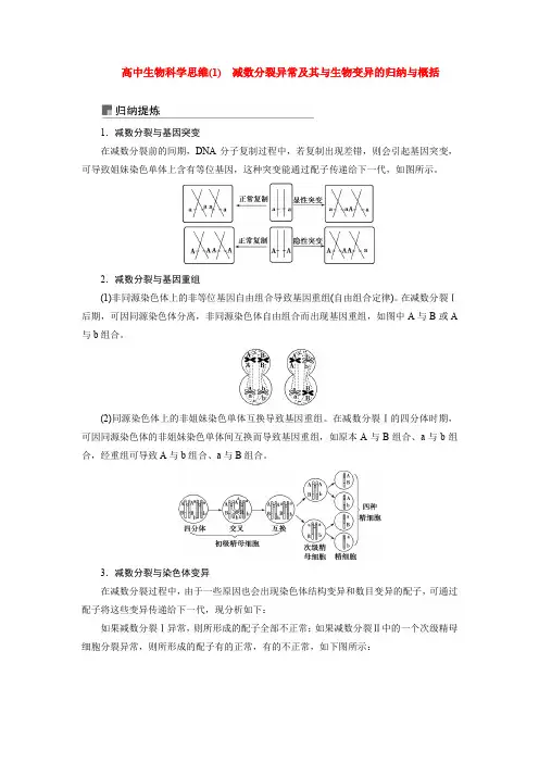 高中生物科学思维(1) 减数分裂异常及其与生物变异的归纳与概括