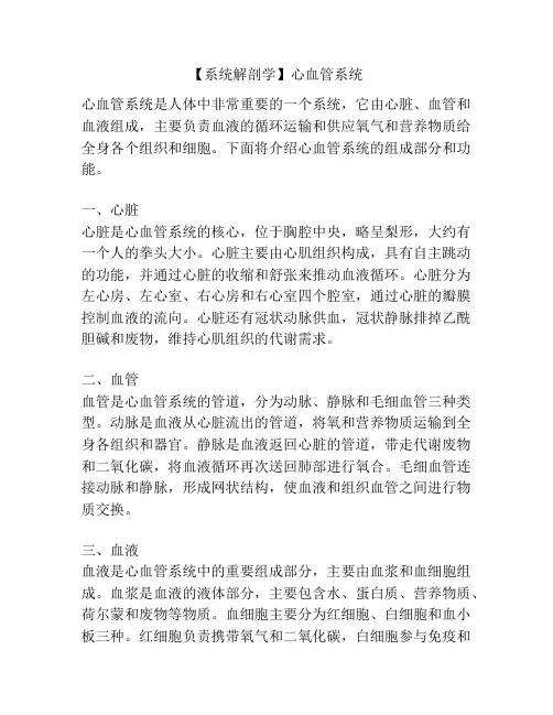 【系统解剖学】心血管系统 