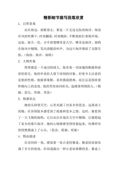 精彩细节描写段落欣赏
