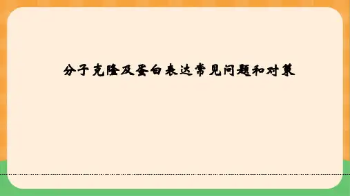 分子克隆及蛋白表达常见问题和对策