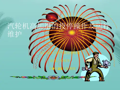 【精选】汽轮机高加组的投PPT