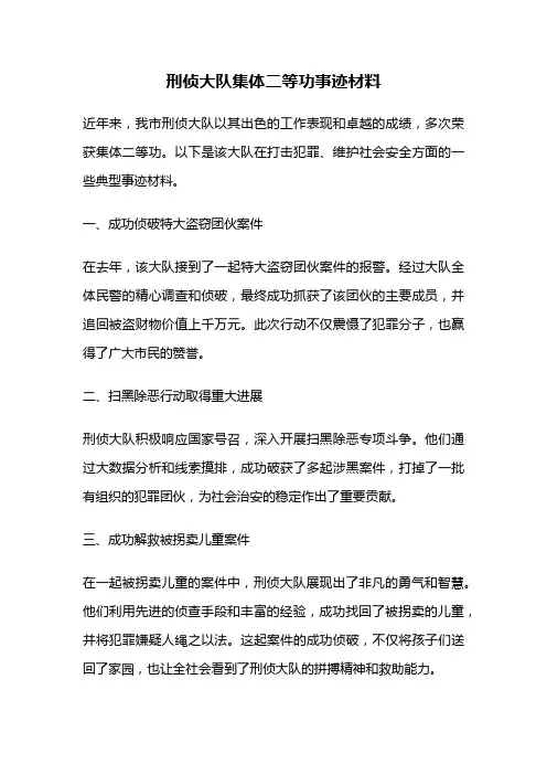刑侦大队集体二等功事迹材料