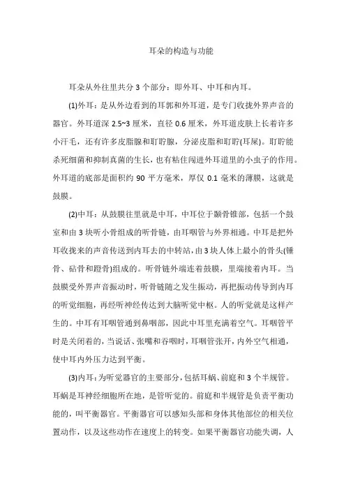 耳朵的构造与功能