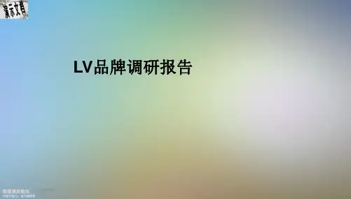 LV品牌调研报告