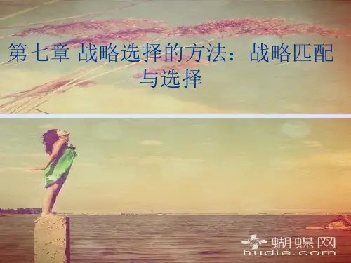 战略选择的影响因素