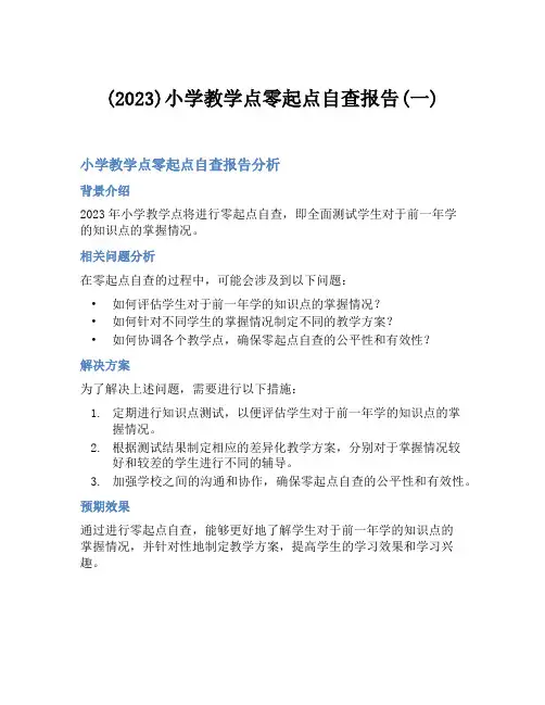 (2023)小学教学点零起点自查报告(一)