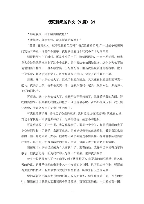 侵犯隐私的作文(9篇)(2)