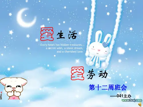 爱生活,爱劳动主题班会