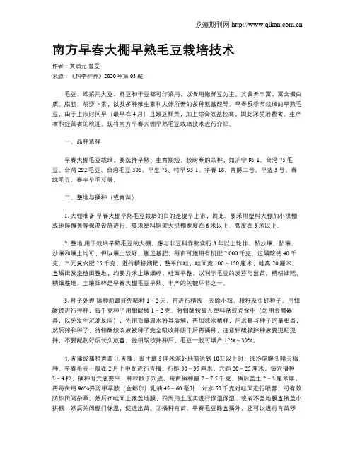 南方早春大棚早熟毛豆栽培技术