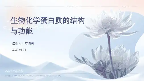 生物化学蛋白质的结构与功能