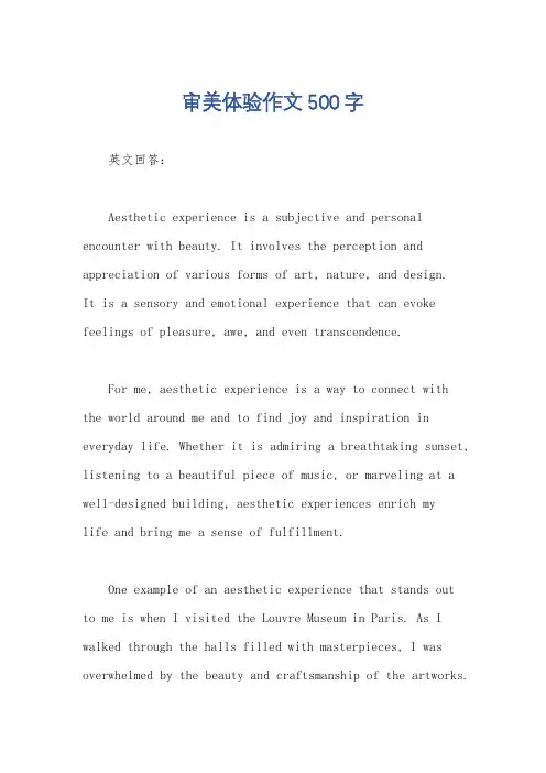 审美体验作文500字