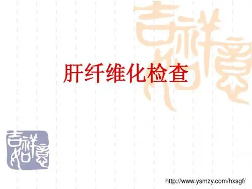 肝纤维化检查