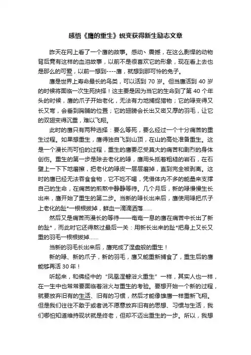感悟《鹰的重生》蜕变获得新生励志文章
