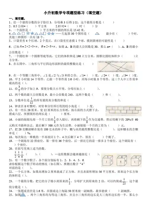 小升初数学专项题型练习(填空题)