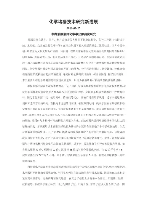 化学堵漏技术