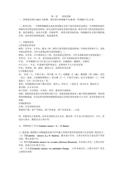 茶树育种学