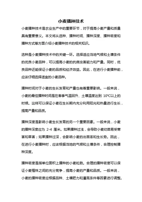 小麦播种技术