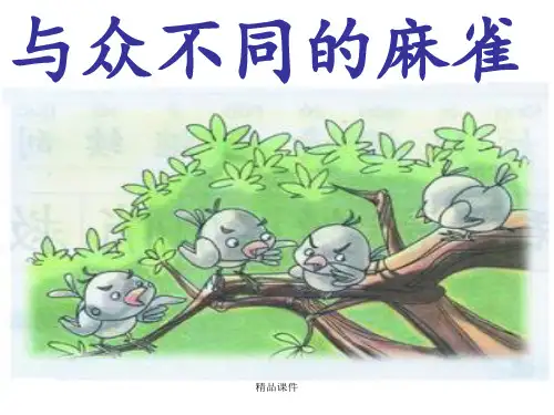 与众不同的麻雀