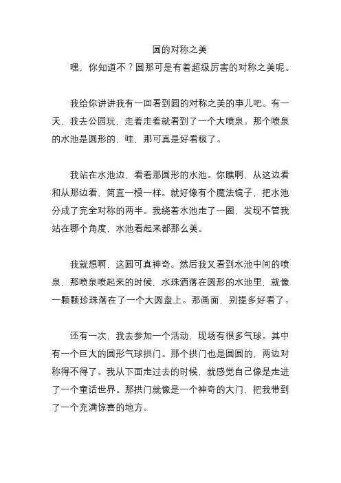 圆的对称之美