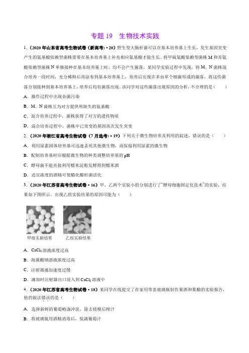 2021年高考生物真题训练19 生物技术实践(原卷版)