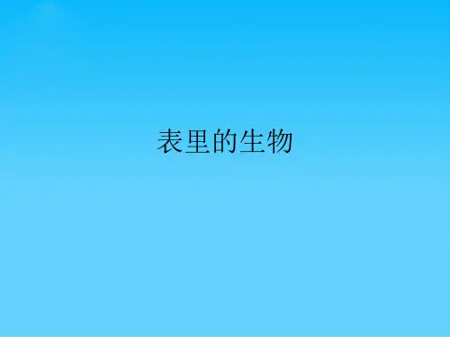 表里的生物