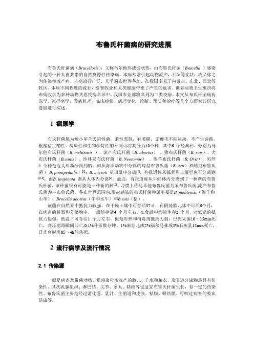布氏杆菌病(精)