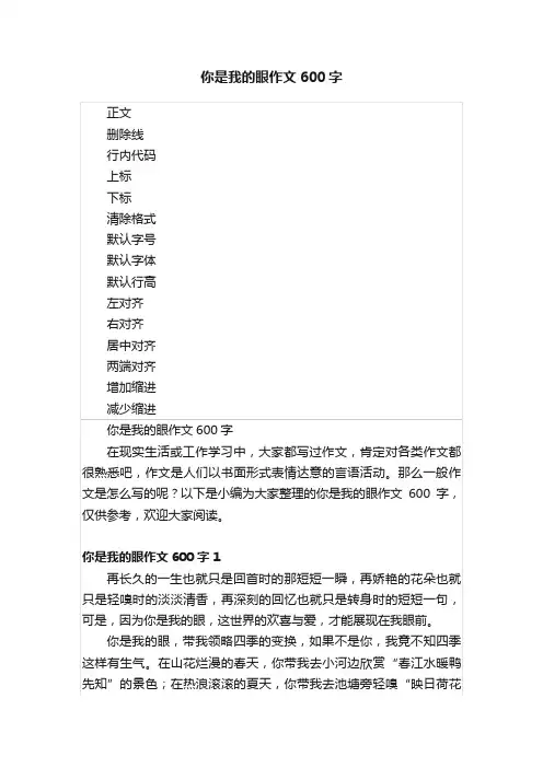 你是我的眼作文600字