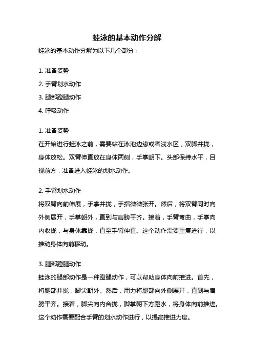 蛙泳的基本动作分解