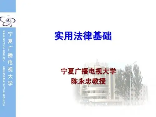 实用法律基础