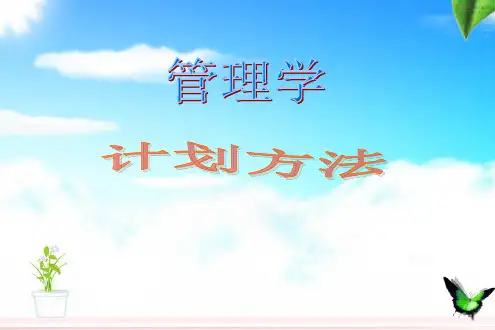 管理学5计划方法