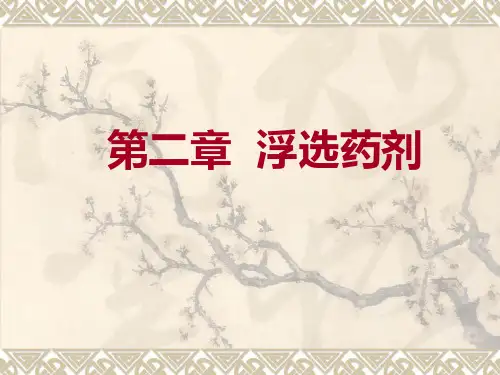 华北理工选矿学课件03浮选-2浮选药剂