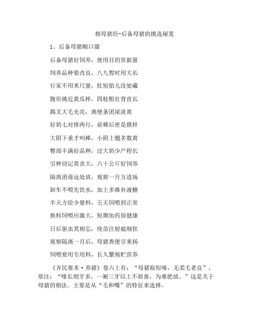 相母猪经-后备母猪的挑选秘笈