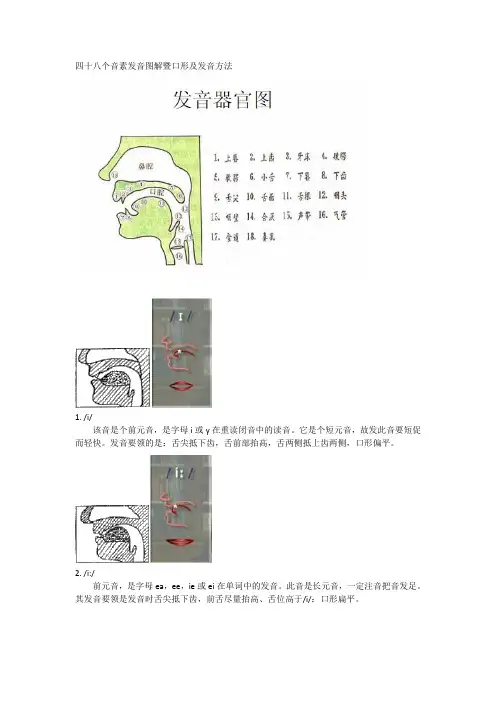 英语国际音标发音舌位图详解与发音方法大全