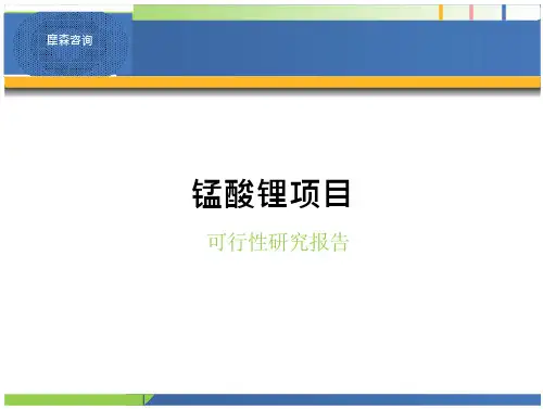 锰酸锂项目行研究报告研究报告