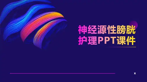 神经源性膀胱护理PPT课件