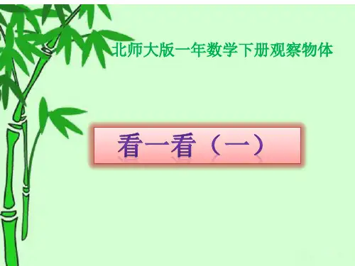 北师大版一年级下册数学优秀课件-2.1《看一看(一)》 (共22张PPT).pptx