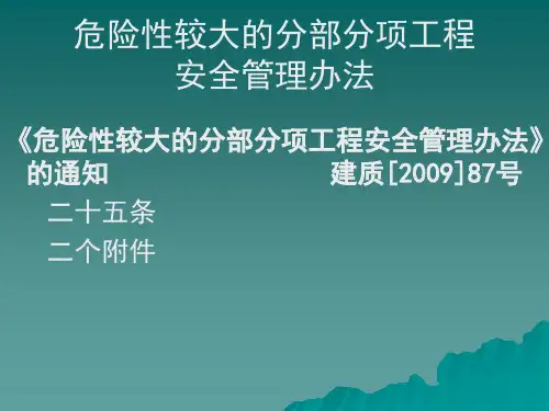 危险性较大分部分项工程安全管理办法