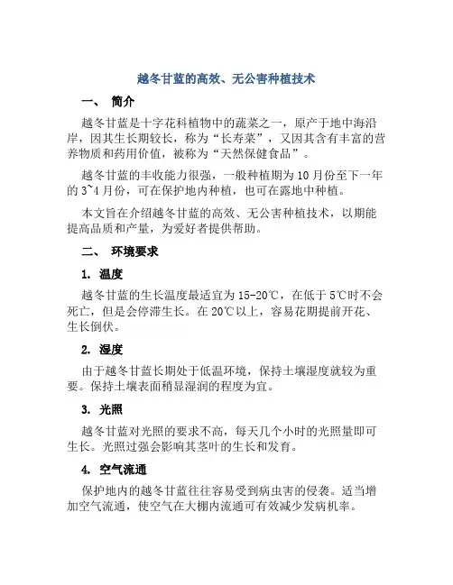 越冬甘蓝的高效、无公害种植技术
