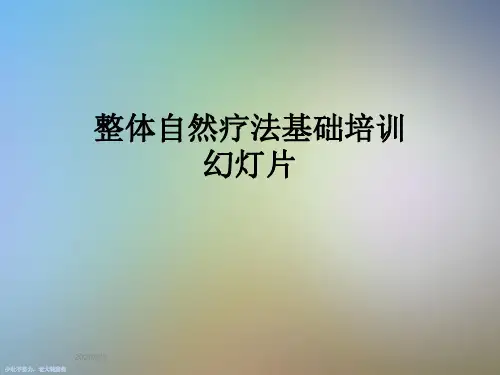整体自然疗法基础培训幻灯片