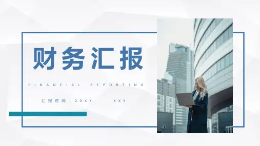 简约企业财务分析数据报告用人单位会计财务情况总结汇报PPT模板