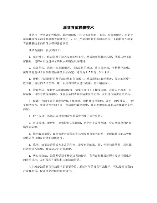 油菜育苗移栽技术