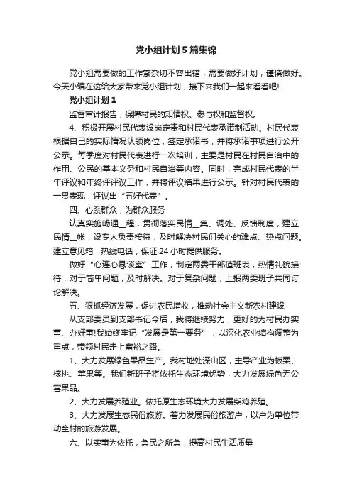 党小组计划5篇集锦