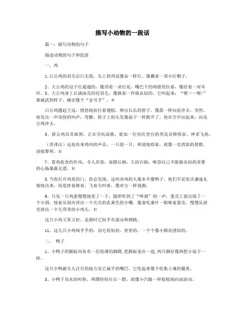 描写小动物的一段话