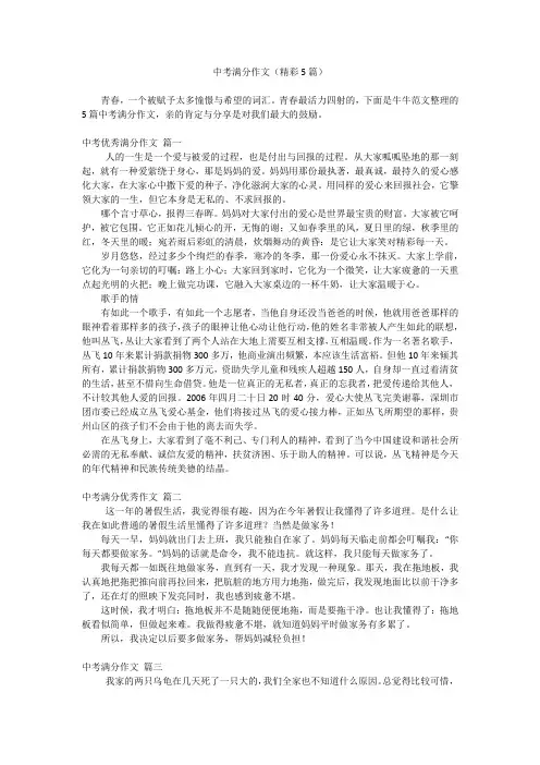 中考满分作文(精彩5篇)