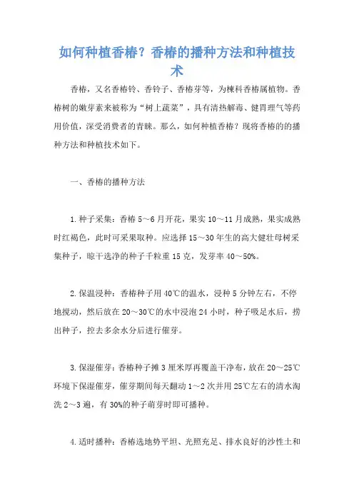 如何种植香椿？香椿的播种方法和种植技术